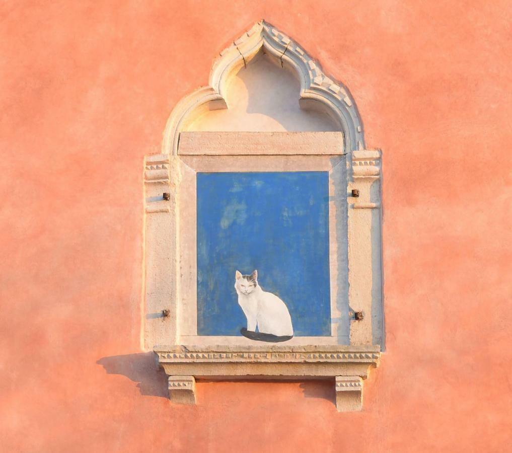 Villa Casa Bepi Kanfanar Esterno foto